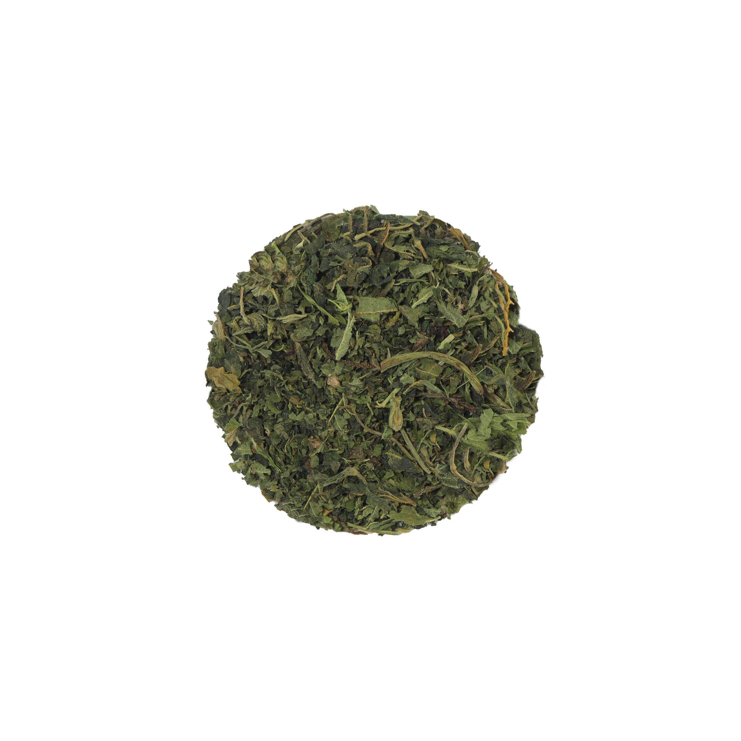 گیاه گزنه - Image 2