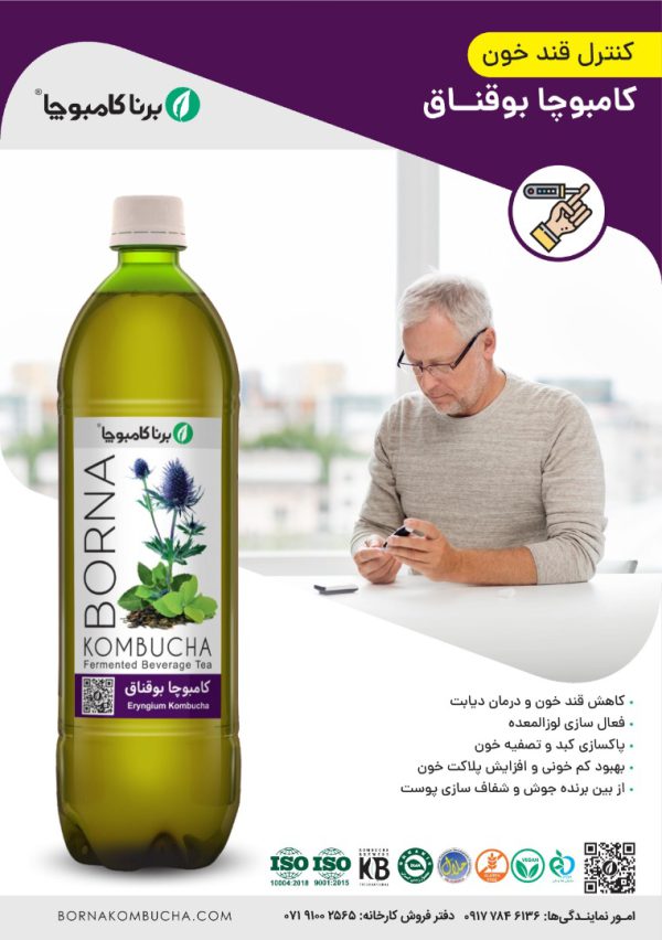 نوشیدنی کامبوچا بوقناق - Image 2