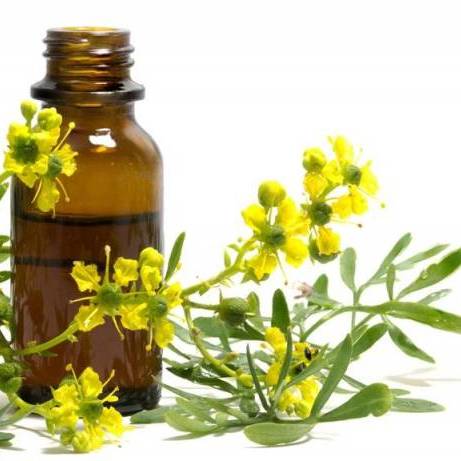 روغن سداب