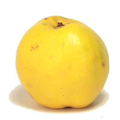 روغن سفرجل