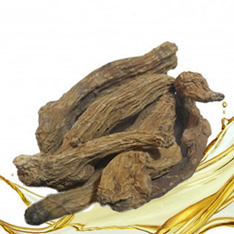 روغن قسط