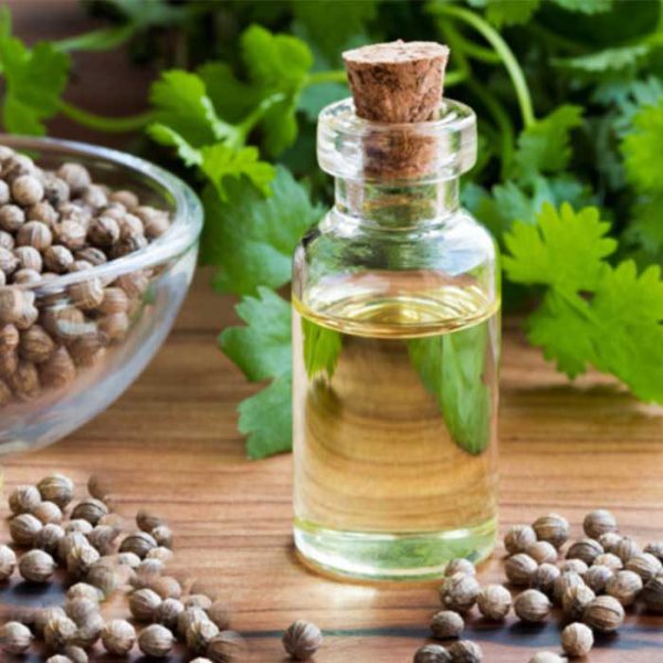 روغن گشنیز